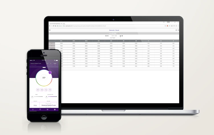 screenshot of GemGuide Appraisal Software